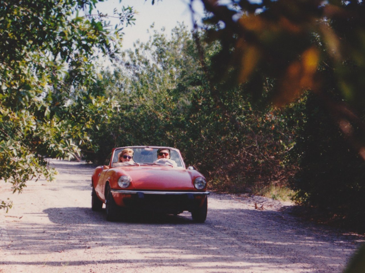 Triumph beachside