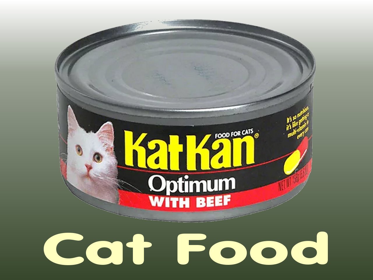 Kat Kan Ad