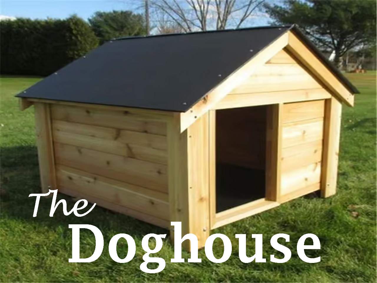 Doghouse