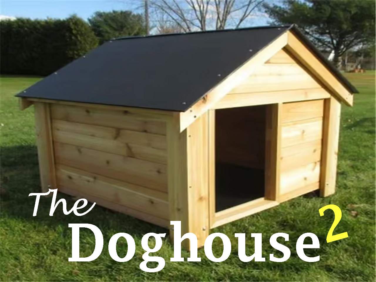 Doghouse 2